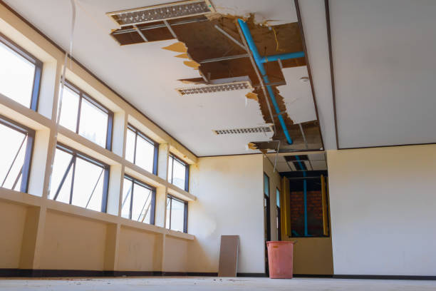 Best Water damage contractors near me  in New London, TX