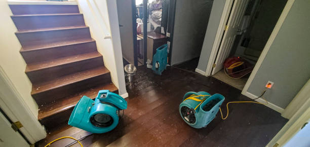 Best Commercial water damage restoration  in New London, TX