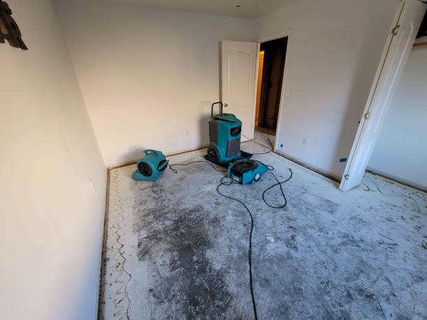 Best Flood restoration services  in New London, TX