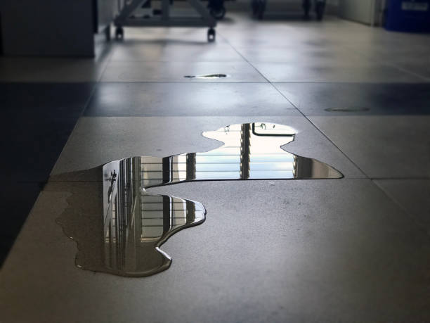 Best Local water damage restoration  in New London, TX