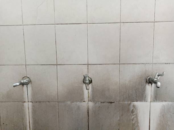 Best Water damage contractors near me  in New London, TX