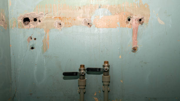 Best Water damage restoration near me  in New London, TX