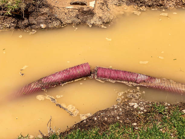 Best 24-hour water damage restoration  in New London, TX